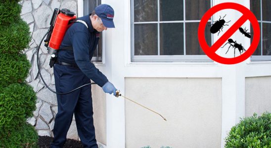 Çaldıran Böcek ve Haşere İlaçlama böcek ilaçlama ve haşere kontrolü — ilaclama-tr.com